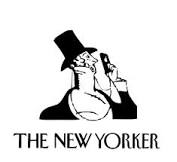 new-yorker